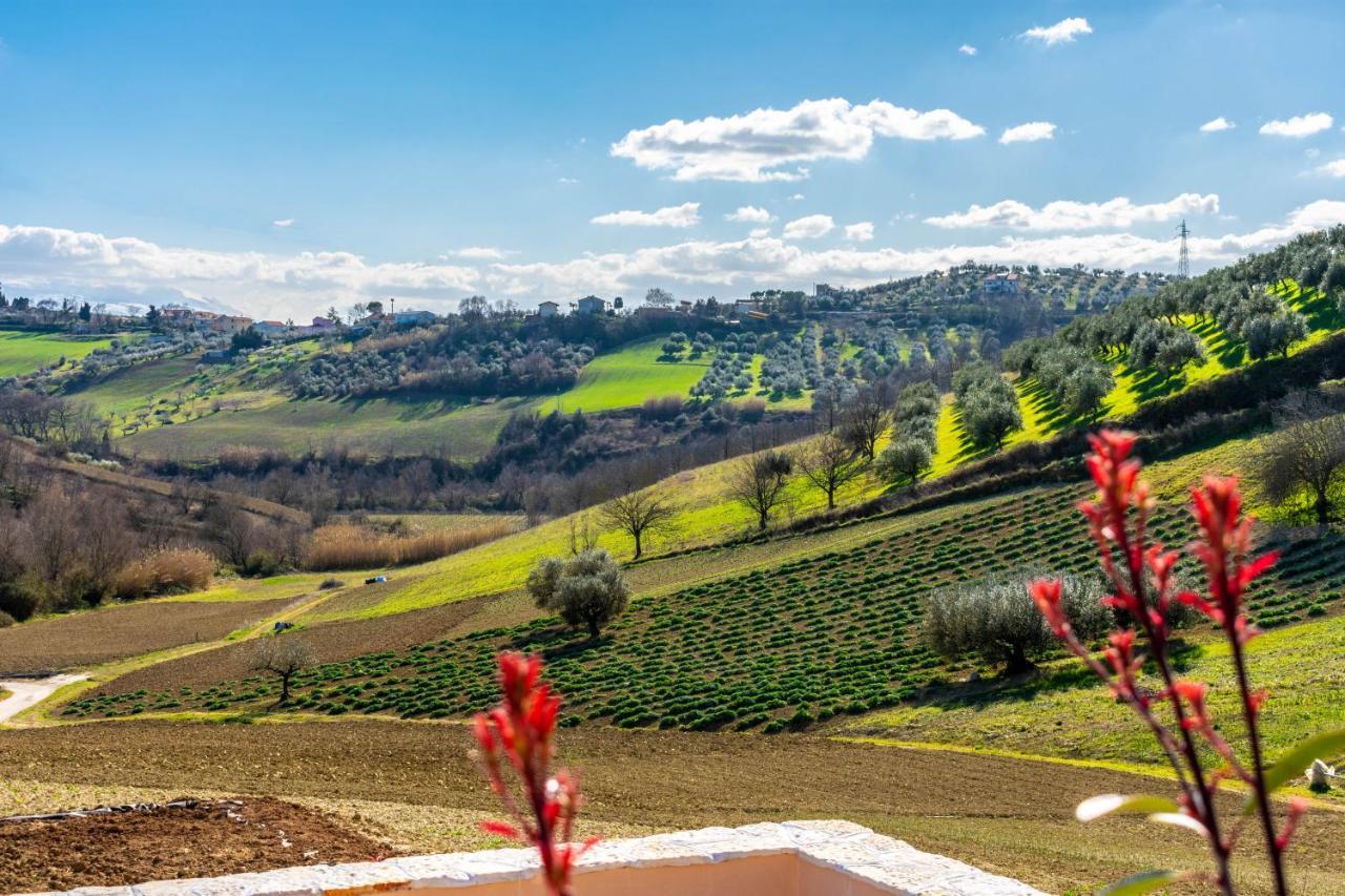La Casa Del Nonno Acomodação com café da manhã Spoltore Exterior foto